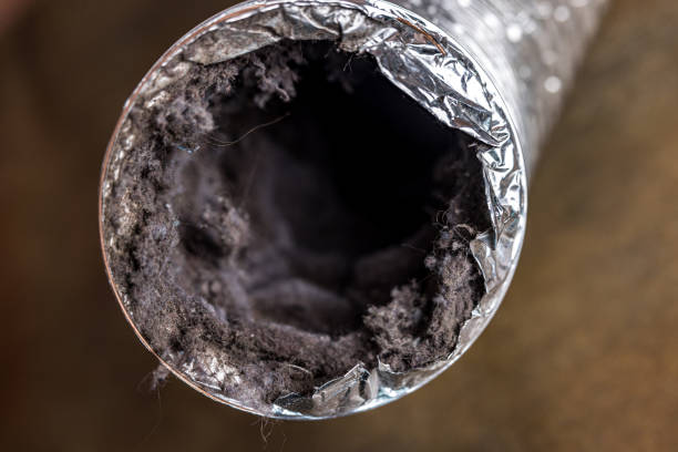 Best HVAC Air Duct Cleaning  in Liberty, PA